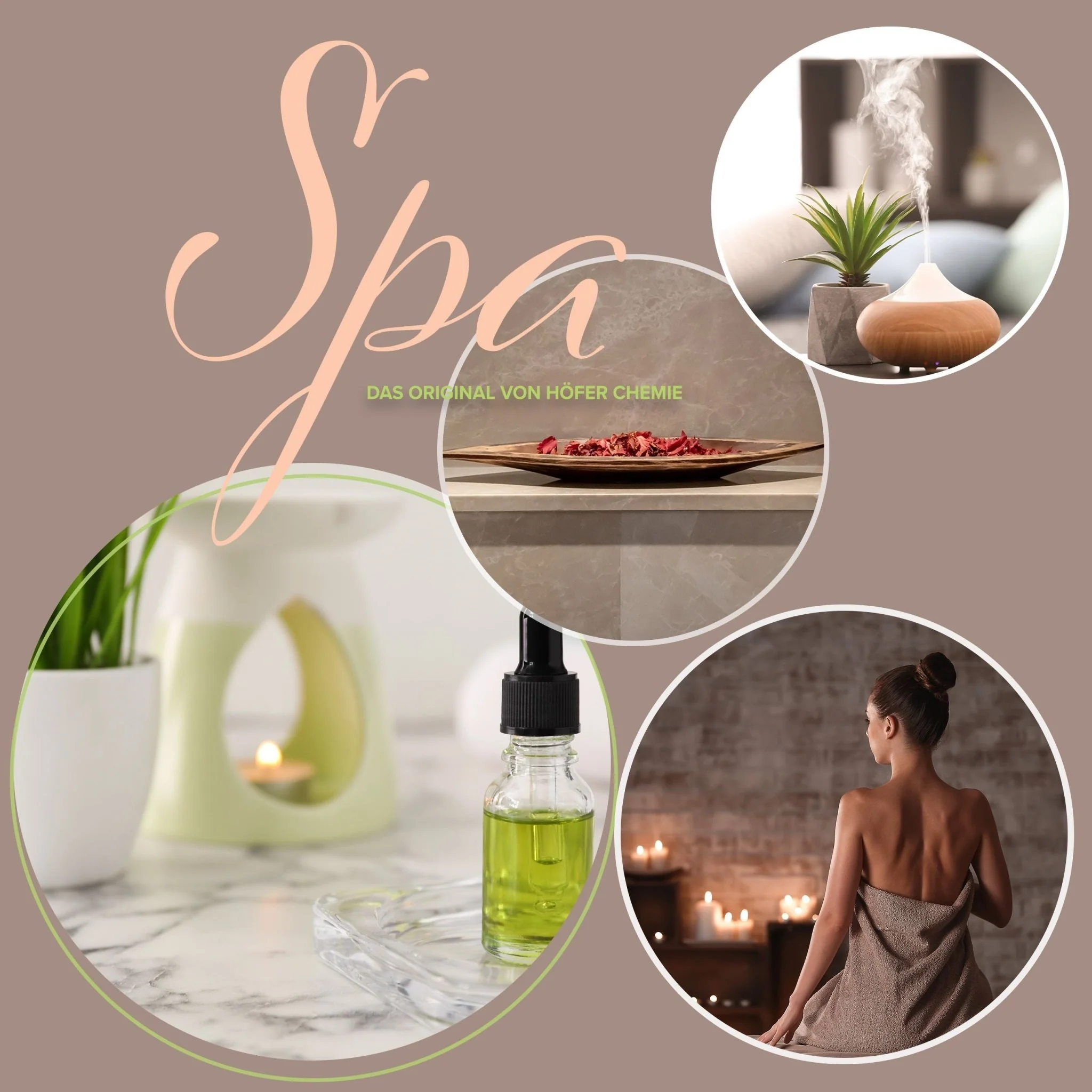 10 ml BAYZID® SPA Duftöl Konifere - Image 6